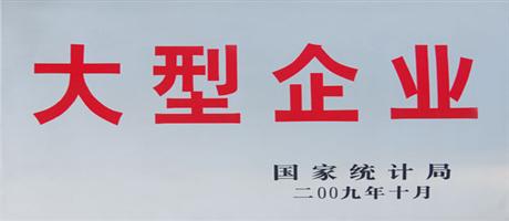 大型企业